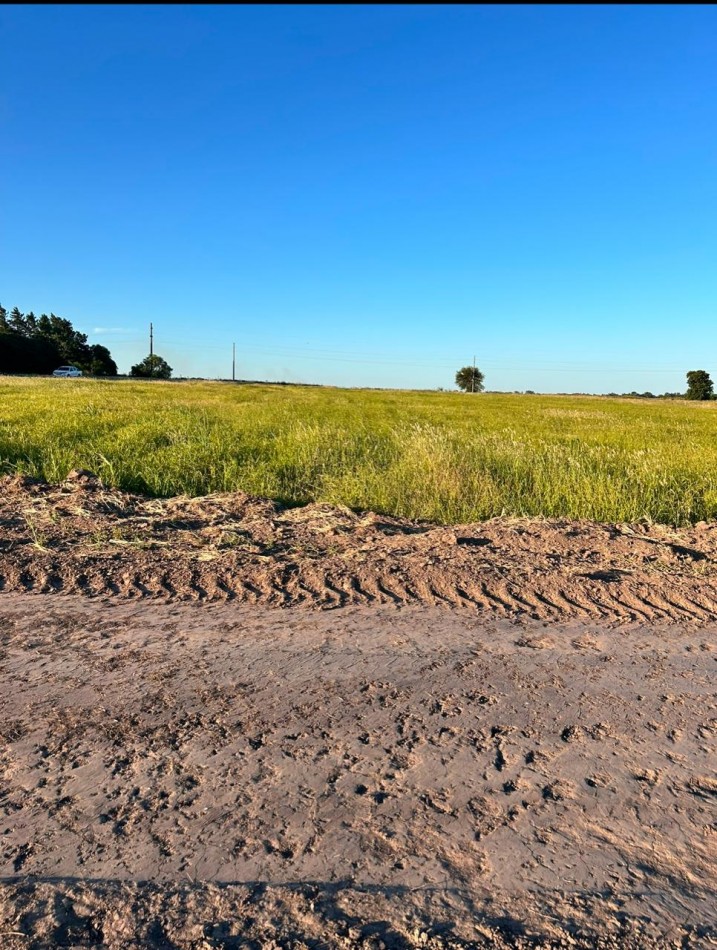 TERRENOS EN COLONIA ENSAYO, CAMINO A FIDANZA 